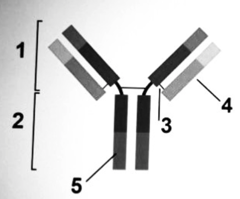 Question graphic